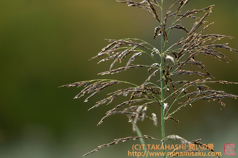 ../Images/7R251025 (86).jpg